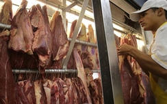 Bộ NN&PTNT chưa phản hồi về bê bối thịt bẩn Brazil