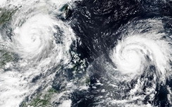 Biển Đông đón nhiều bão hơn năm 2017 vì El Nino?