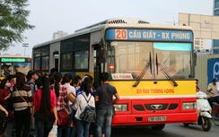 Đường dây nóng xe buýt TP.HCM, Hà Nội, Đà Nẵng