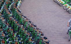 Chính phủ Trung Quốc đau đầu với dịch vụ chia sẻ xe đạp
