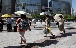 Nhật Bản chứng kiến nhiệt độ cao chưa từng có trong ngày 20/5