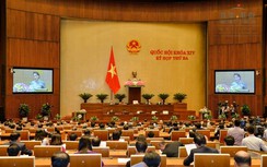 Quốc hội cân nhắc thận trọng, toàn diện dự án sân bay Long Thành