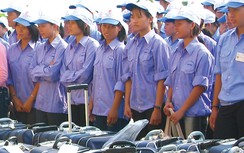 Bác thông tin Việt Nam xuất khẩu cử nhân thất nghiệp