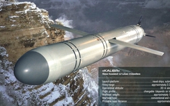 Tàu tên lửa “Nhện” Karakurt của Nga có "cú cắn rất hiểm"