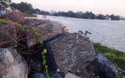 Cận cảnh vườn rau xanh tốt bên trong dự án lấn sông Đồng Nai