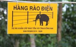 Cận cảnh hàng rào điện tử bảo vệ voi rừng ở Đồng Nai