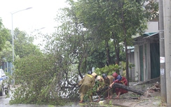 Đội thu dọn cấp tốc cây gẫy đổ chắn đường ở Quảng Trị