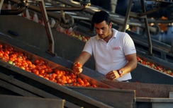 "Cà chua đổi thịt" với Nga: Thổ Nhĩ Kỳ nói không