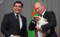 Video: Tổng thống Putin được tặng chó chăn cừu Trung Á