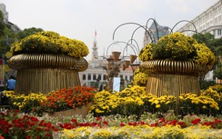 "Cha đẻ" ý tưởng làm đường hoa trên sông Sài Gòn nói gì?