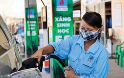 Australia: Khuyến cáo nhiều loại xe không dùng xăng ethanol