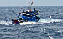 Nhiều tàu cá Bình Định gặp nạn trên biển