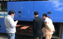 Bắt giữ 1,5m3 gỗ sơn huyết đang “đi” xe giường nằm về Huế