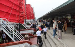 Đình chỉ hoạt động tàu du lịch “chặt chém” trên vịnh Hạ Long