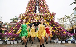 Rực rỡ lễ hội hoa thành phố biển Hạ Long