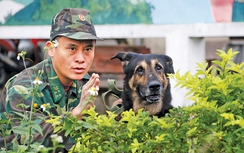 Biệt đội chó nghiệp vụ bí mật bảo vệ APEC