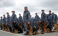 Bộ Nội vụ Nga tuyển chọn, huấn luyện chó đặc biệt như thế nào?