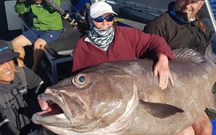 Lão bà 68 tuổi quăng cần câu được cá “quái vật” dài 1,6m