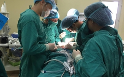 Lần đầu Việt Nam phẫu thuật thành công u tuyến giáp qua đường miệng
