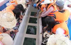 Nườm nượp du khách đổ về vịnh Vĩnh Hy khám phá san hô