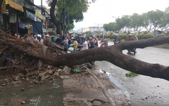 Sài Gòn nổi cuồng phong, cây xanh bật gốc khiến 3 người bị thương