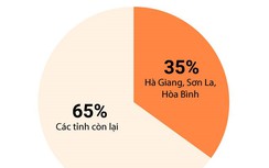 Sai phạm thi tại Hòa Bình: Công an triệu tập thêm 3 người