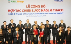 THACO đầu tư 1 tỷ USD vào Hoàng Anh Gia Lai
