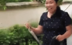 Video: Cô giáo mầm non Lào Cai tay không tóm gọn rắn hổ mang