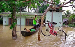 Ấn Độ từ chối nhận cứu trợ lũ lụt của nước ngoài