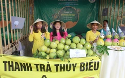 Khai hội “thủ phủ thanh trà”, đặc sản tiến vua ở Huế