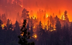Cháy rừng khủng khiếp ở California, ít nhất 25 người chết