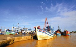 Đề xuất hơn 4,1 tỷ USD đầu tư cảng biển Trần Đề