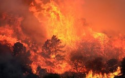 Gần 1.300 người mất tích vì cháy rừng ở California