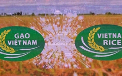 Công bố Logo thương hiệu gạo Việt Nam