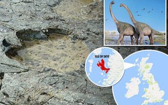 Anh: Phát hiện 85 dấu chân khủng long sau bão