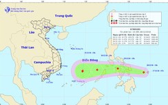 Biển Đông đón áp thấp nhiệt đới giật cấp 9 dịp Tết Dương lịch