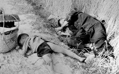 Cựu binh Mỹ trong vụ thảm sát Mỹ Lai: Tôi rất hối tiếc!
