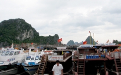 Bão áp sát Quảng Ninh, 500 du khách mắc kẹt