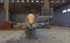 Ngắm máy bay Boeing 747- 400 biến hình thành hổ Siberia
