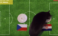 Séc - Croatia: Chú mèo Cass dự đoán kết quả thế nào?