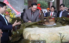 Nghệ An: Lãnh đạo tỉnh lên tiếng về cặp bánh chưng 700kg