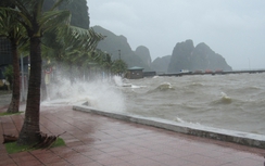 Quảng Ninh “cấm biển” đối phó bão số 1