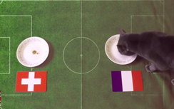 Mèo Cass dự đoán kết quả trận Pháp - Thuỵ Sĩ