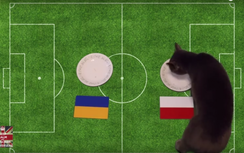 Mèo Cass dự đoán kết quả trận Ukraine - Ba Lan