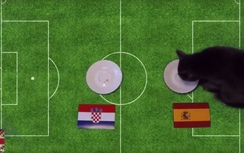 Mèo Cass dự đoán kết quả trận Croatia - Tây Ban Nha