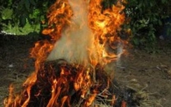 Rúng động mẹ 9X đốt chết 3 con rồi trốn vào rừng