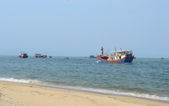 Thông tin chính thức về môi trường biển miền Trung sau sự cố Formosa