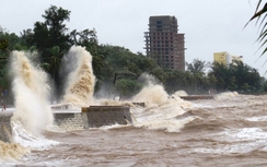Tin bão Megi mới nhất: Biển Đông gió giật cấp 14