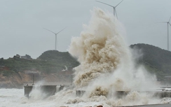 Tin bão số 6 Aere mới nhất: Sóng biển cao 2,5 mét