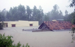 Tân Hiệp Phát cứu trợ khẩn cấp đồng bào miền Trung bị lũ lụt